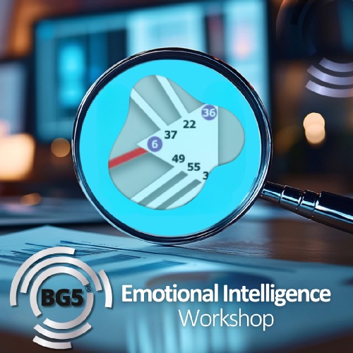 Emotional Intelligence - BG5 Profit Potential Workshop Series