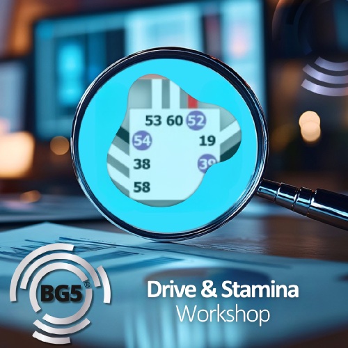Drive & Stamina - BG5 Profit Potential Workshop