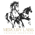 ⟡ ᴍᴇʀᴄᴜʀʏ ʟᴀʙ ⟡