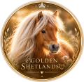 golden shetlands