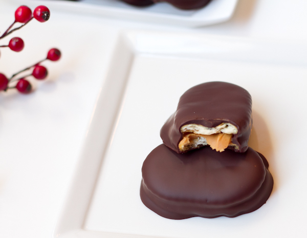 Dark Chocolate & PB Cracker Cookies-5539