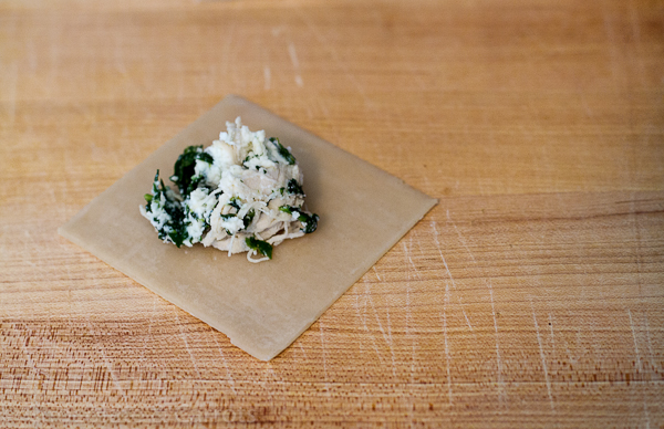 Chicken & Spinach Wonton Ravioli Tortellini | chocolate & carrots