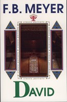 David (eBook)
