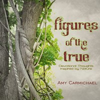 Figures of the True (eBook)
