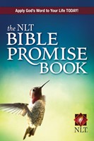 The NLT Bible Promise Book (eBook)