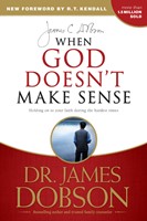 When God Doesn't Make Sense (eBook)