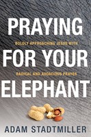 Praying for Your Elephant (eBook)
