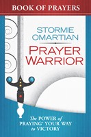 Prayer Warrior Book of Prayers (Digital delivered electronically)