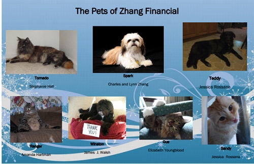 The Pets of Financial Advisor Office Image The Pets of Financial Advisor Office Image - Zhang Financial