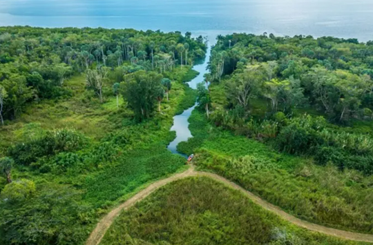 Aerial view of Paradise Park in Westmoreland