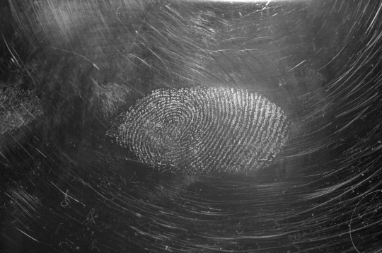 Fingerprint - Unsplash.com 