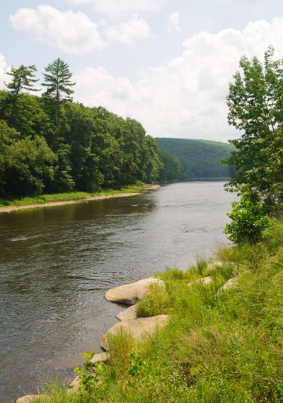 creek-in-forest