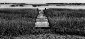 Pleasant-Point-Dock-1-300x142