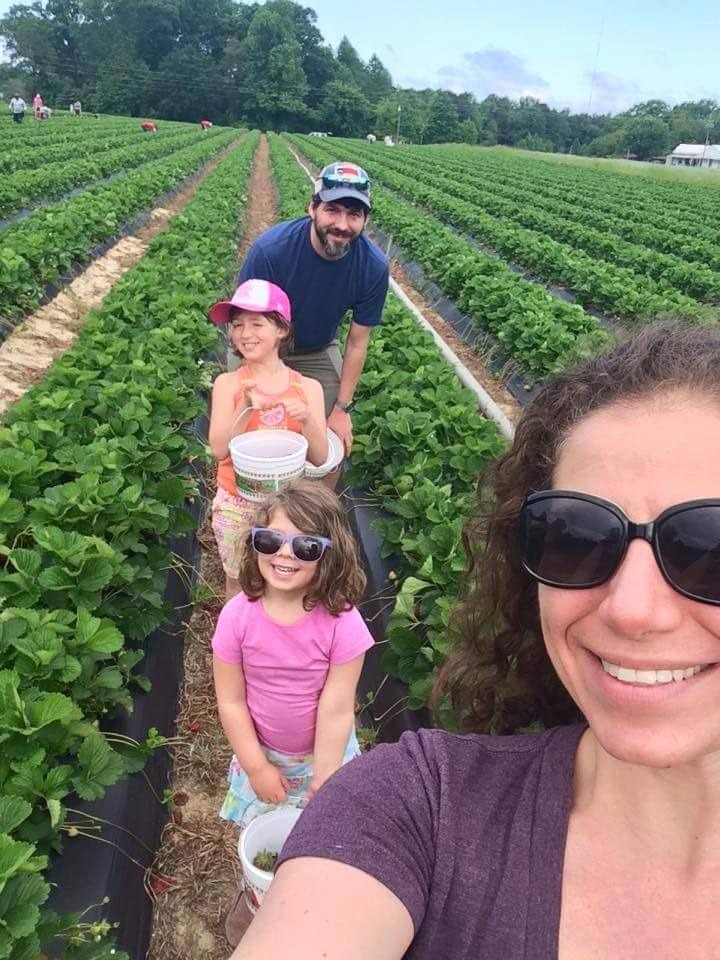 strawberry picking