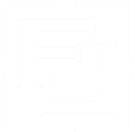 Flick Financial Logo