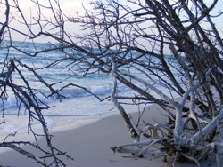 beach_brush