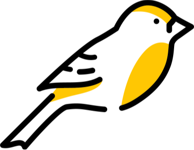 YFF_bird