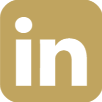 linkedin icon