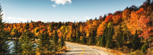 Long-Term Care