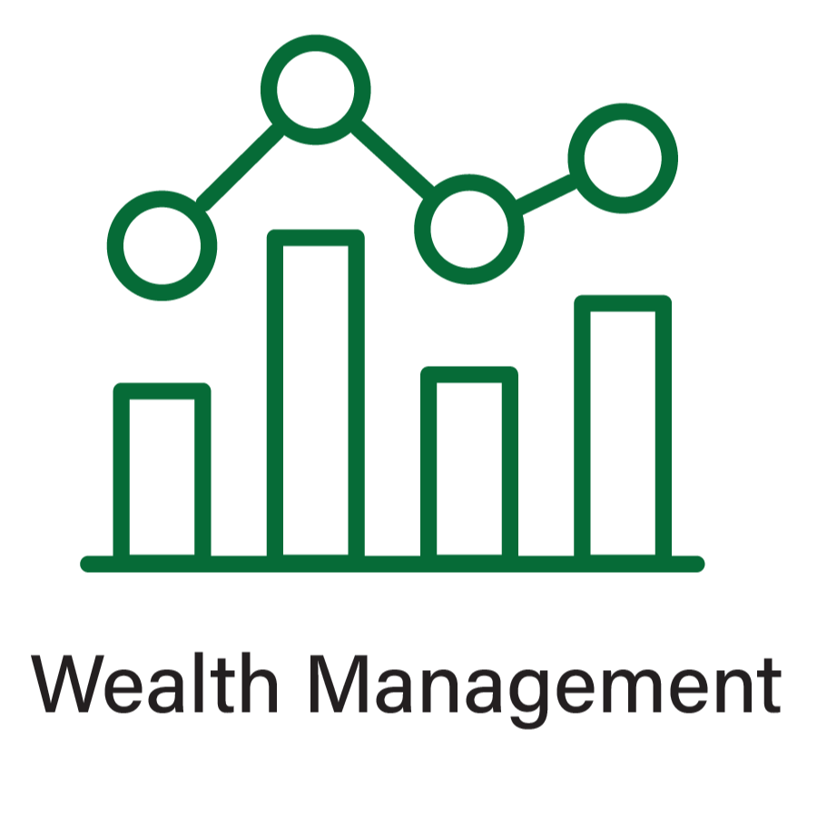 Wealth Management Icon