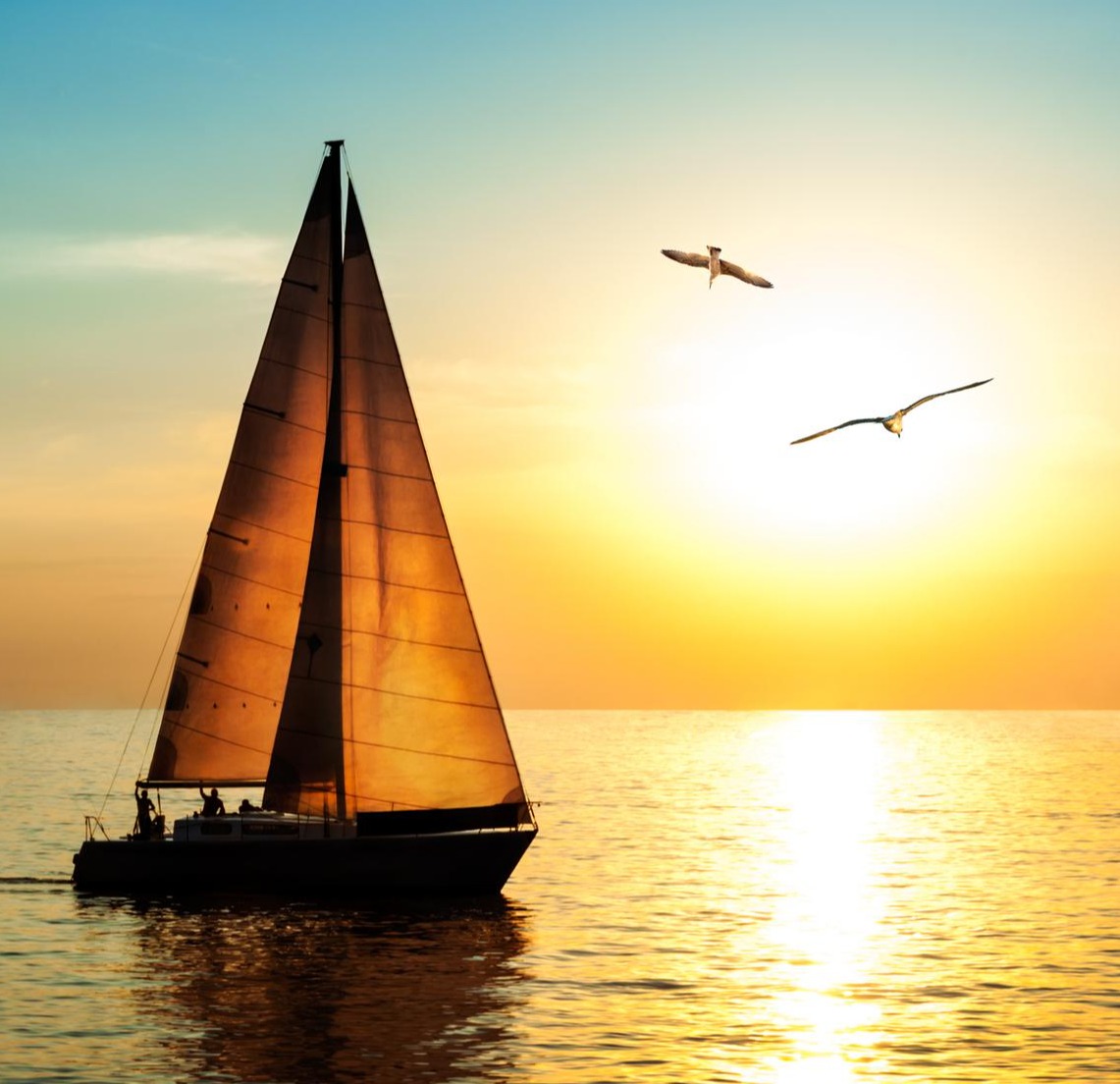 Sailboat at sunset with seagulls