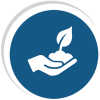holistic-approach-icon