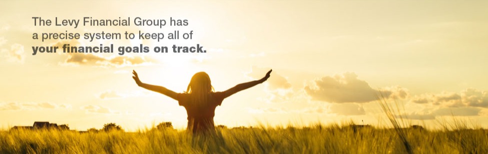 The Levy Financial Group has a precise system to keep all of your financial goals on track.