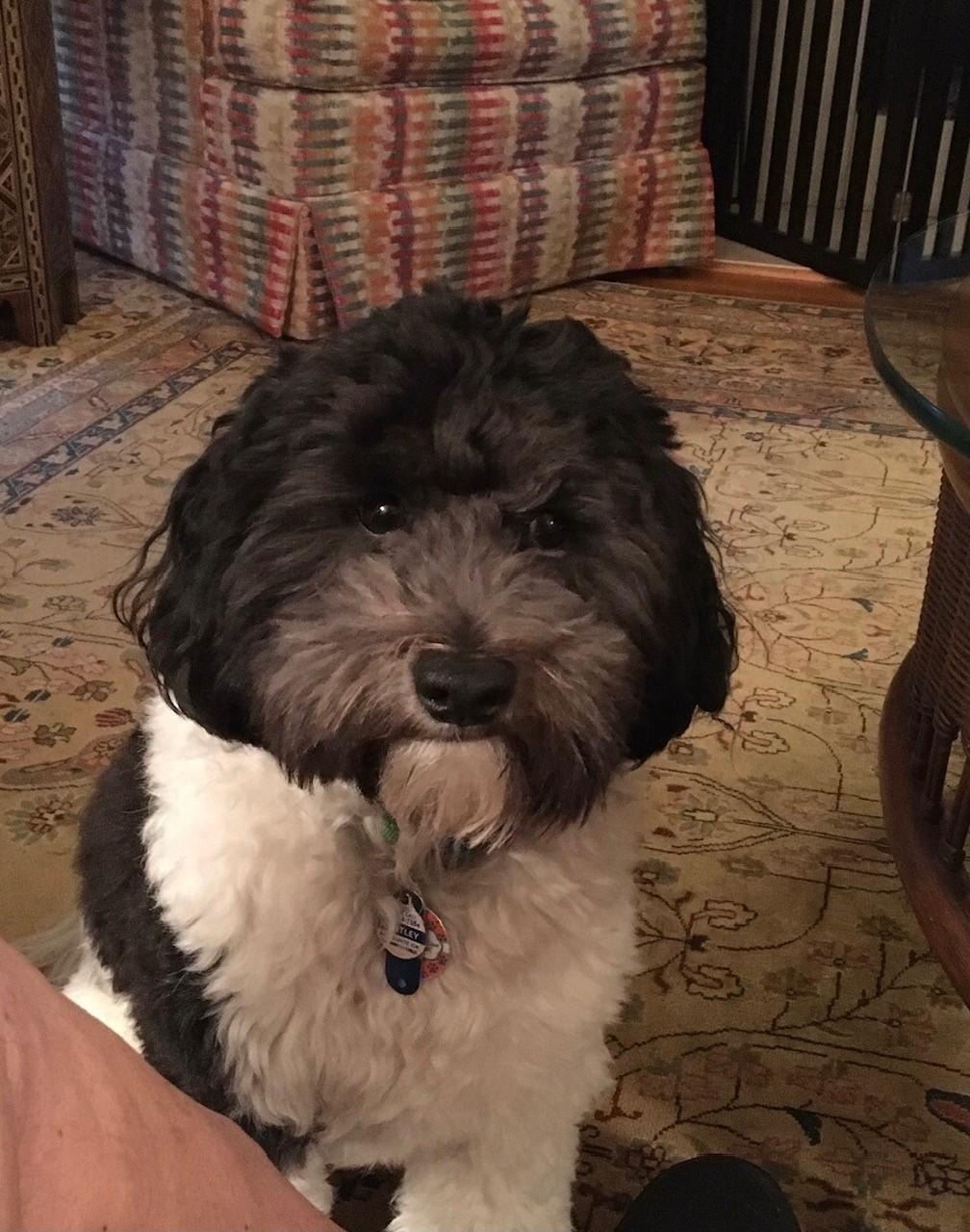 Bentley