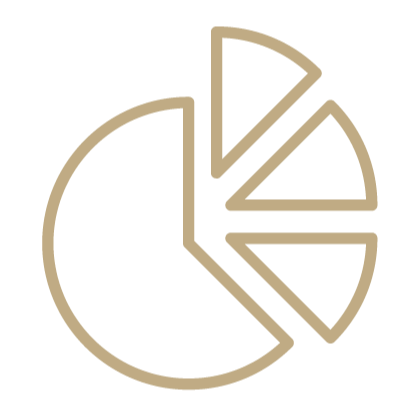 investment portfolio icon