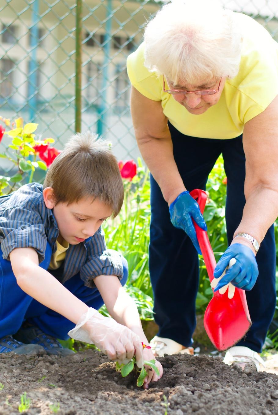 Grandmother and grandson planting flowers