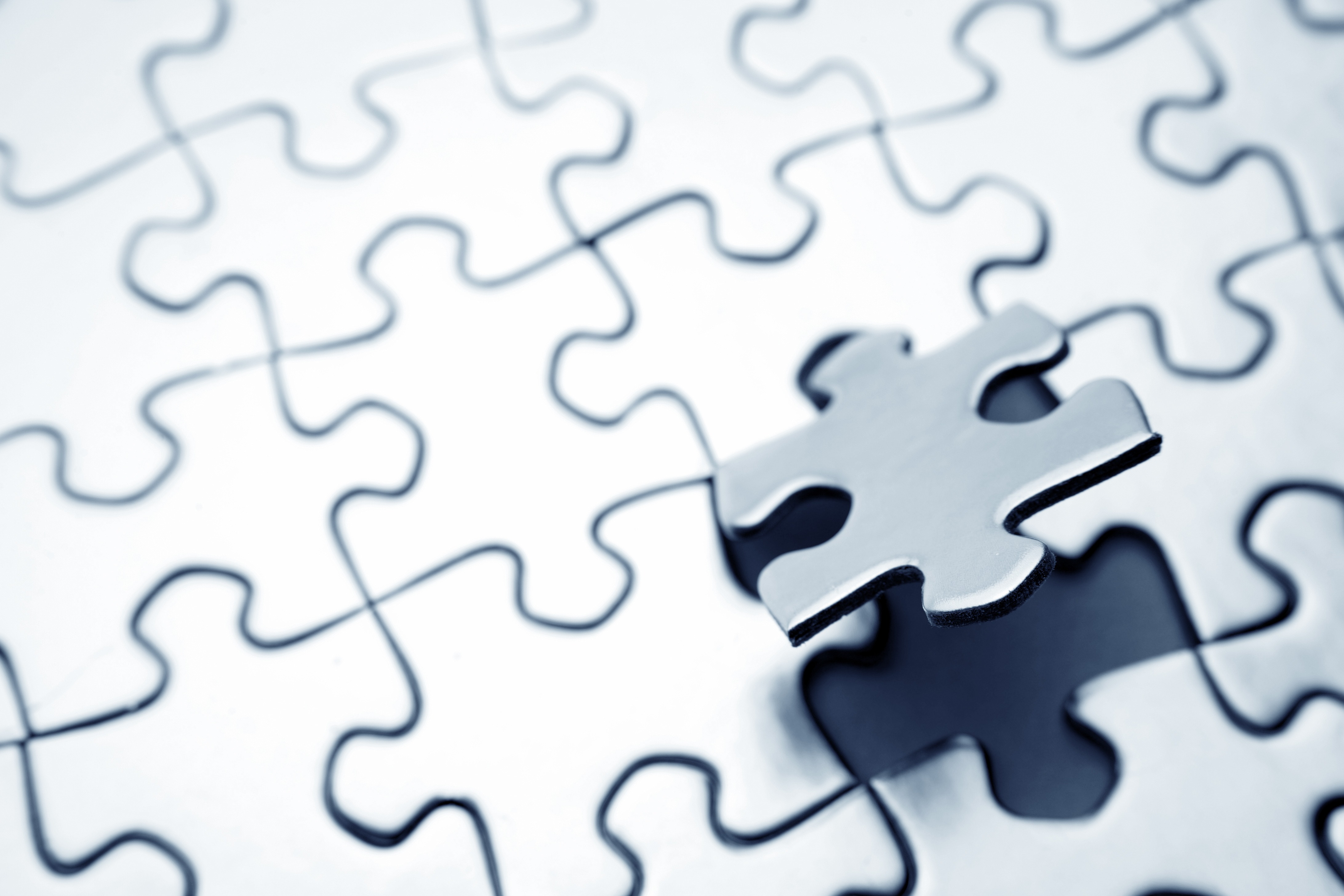 Missing puzzle piece falling into place