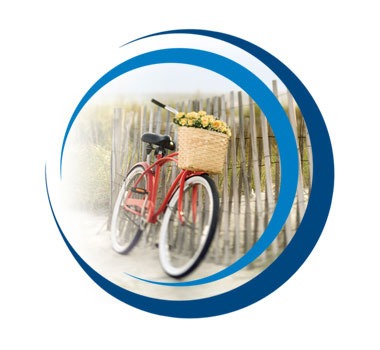 RexWEB_Contact_bike