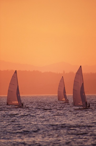 Sailboats gliding across ocean.