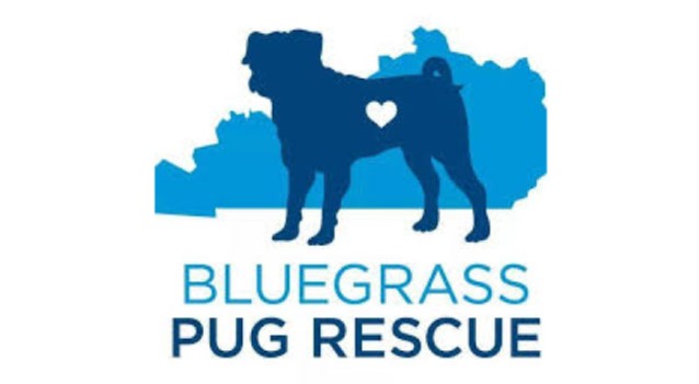 Bluegrass Pug Rescue Logo