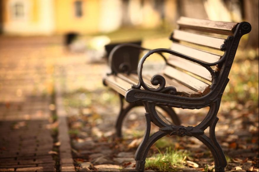 Bench in the park in autumn