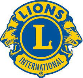 Lions logo