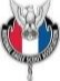 National Eagle Scout Association logo