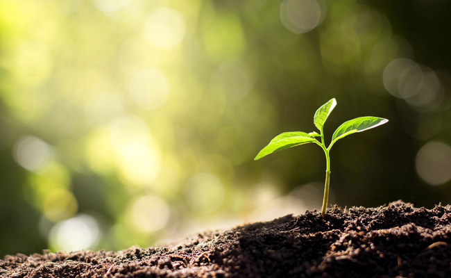 Go to Wealth Management