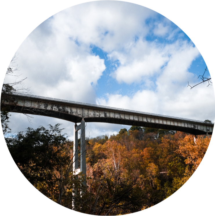 high bridge over trees in autumn