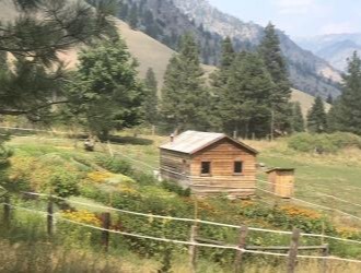 small-cabin-in-large-field
