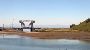 Estuary-tresle-with-seagull[1]