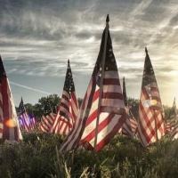 american-flags-in-grass