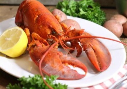 Lobster