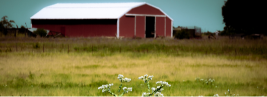 Estate-Planning-Image