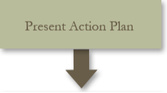 Present Action Plan