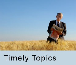 Timely-Topics redesign