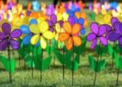 Alzheimers Flowers for Home Page
