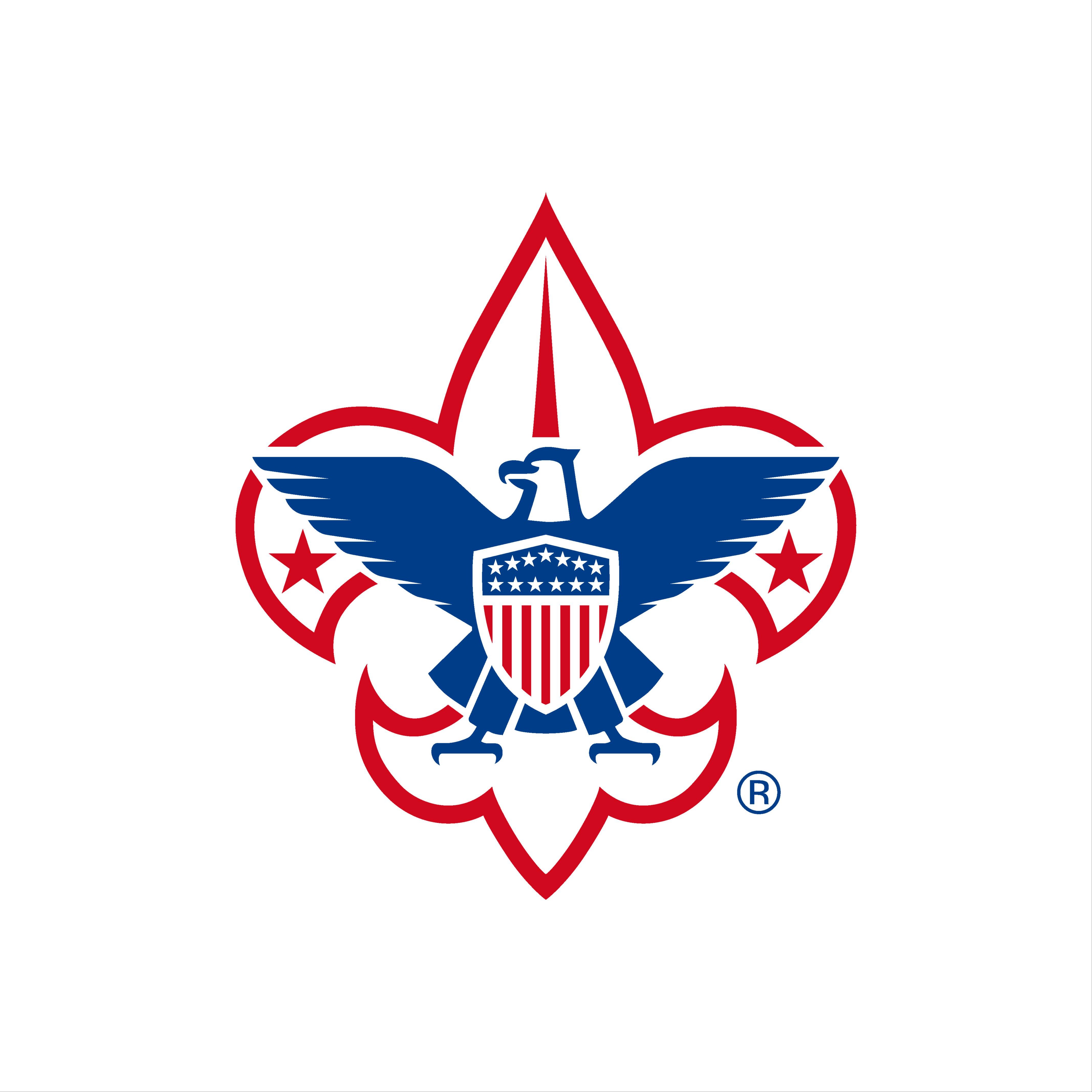 BSA logo