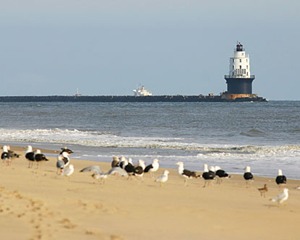 capehenlopenlighthouse