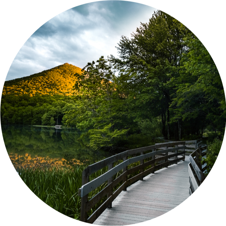 wooden foot bridge next to a pond with a mountain in the distance